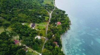 2.74 Acres of Ocean View Land for sale in Bluefields, Westmoreland, Jamaica