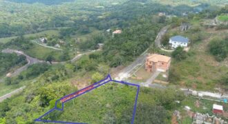 Quarter Acre Residential Lot for Sale in Syndicate Avenue, Manchester, Jamaica