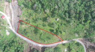 3/4 acre land for sale in Chantilly, Manchester, Jamaica