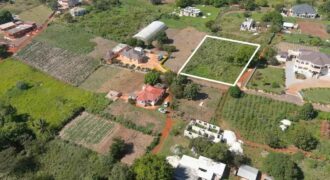 Cheap Land for sale at Ballards Valley St.elizabeth, Jamaica