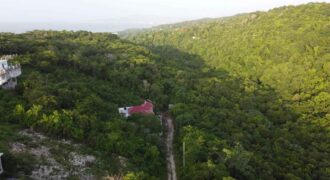 1/4 Acre Ocean View residential lot for sale at Seaview, Hopewell, Hanover, Jamaica