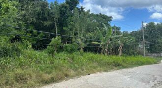 1/4 acre land for sale at Marvins Park, White River, St. Ann, Jamaica