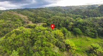12 Acre Agricultural Farm land for sale at Greenock, Cave Valley, St. Ann, Jamaica