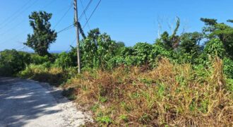 1/4 acre land for sale in Cardiff Hall, Runaway Bay, St. Ann, Jamaica